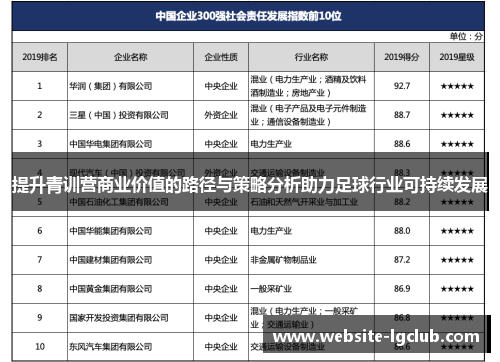 提升青训营商业价值的路径与策略分析助力足球行业可持续发展